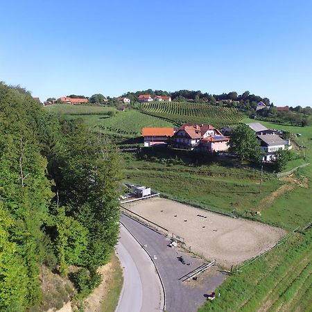 Guesthouse Kaucic Benedikt v Slovenskih Goricah Экстерьер фото