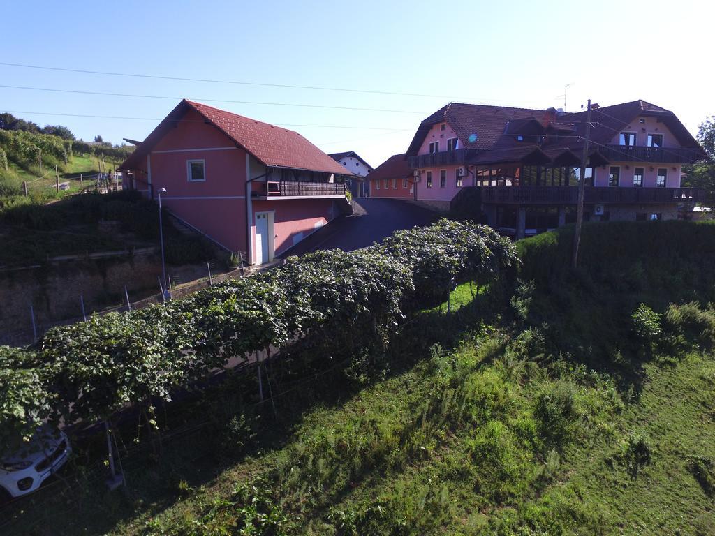 Guesthouse Kaucic Benedikt v Slovenskih Goricah Экстерьер фото