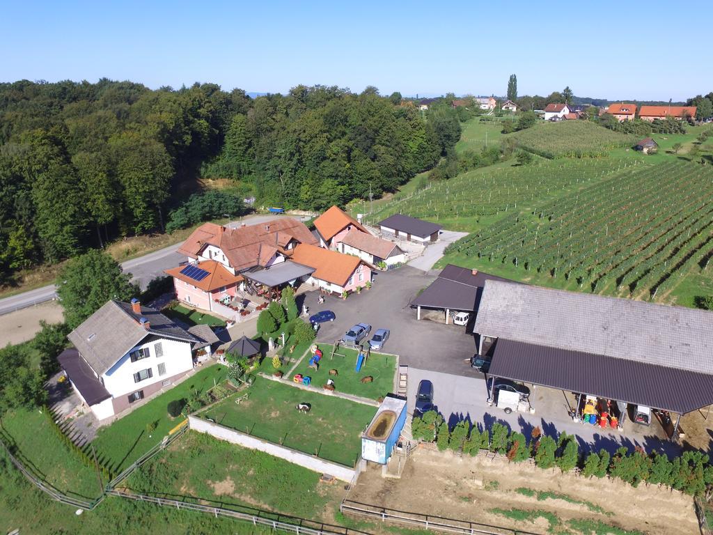 Guesthouse Kaucic Benedikt v Slovenskih Goricah Экстерьер фото